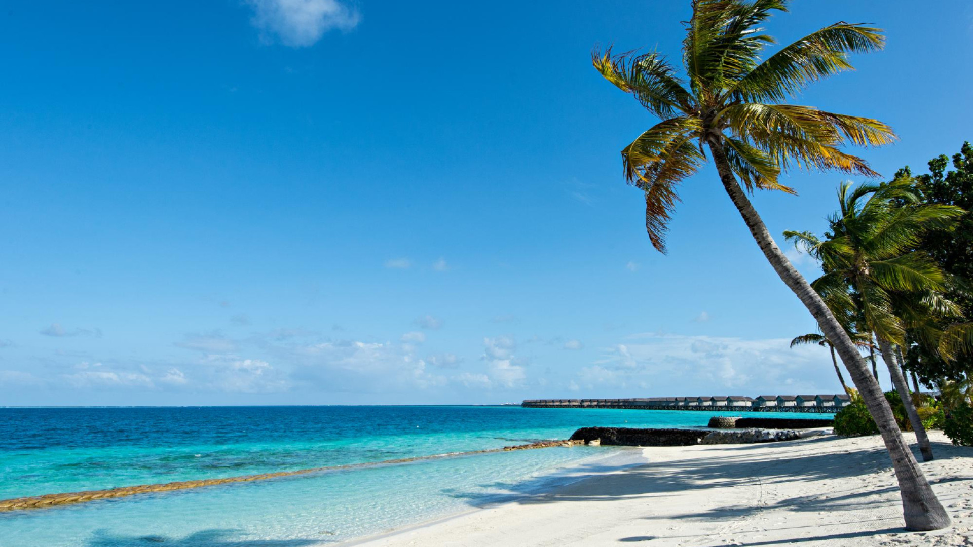 Les Caraïbes : des vacances de rêve à portée de main