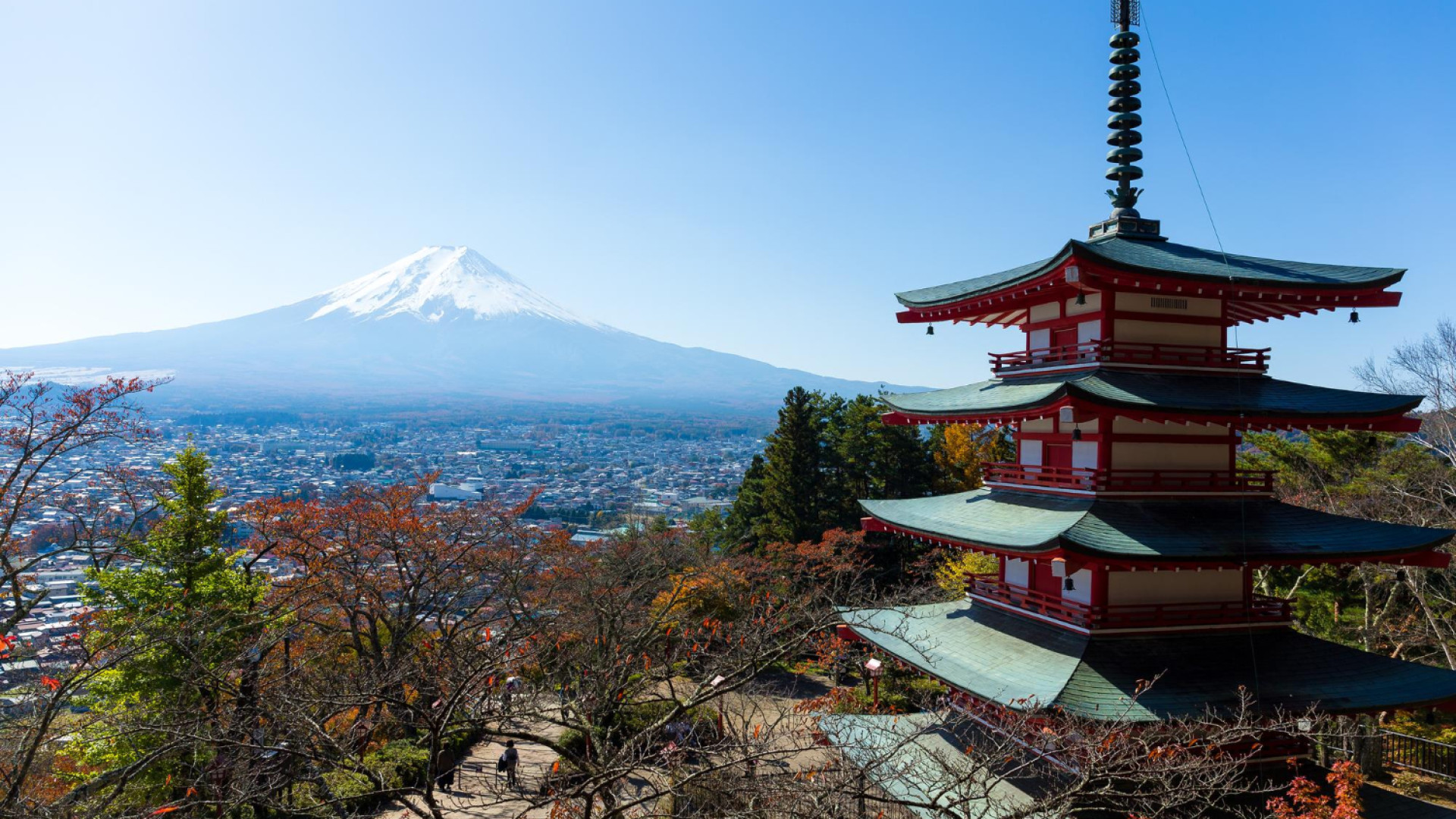 Découvrez le Japon en croisière : un séjour unique entre tradition et modernité